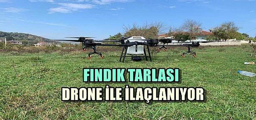 FINDIK TARLASI DRONE İLE İLAÇLANIYOR...