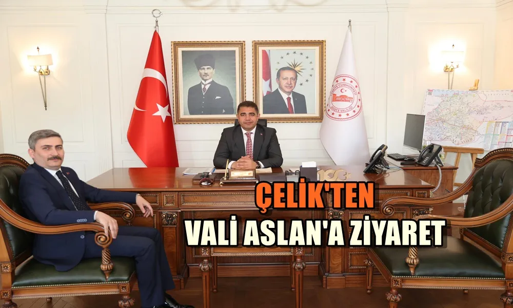 ÇELİK