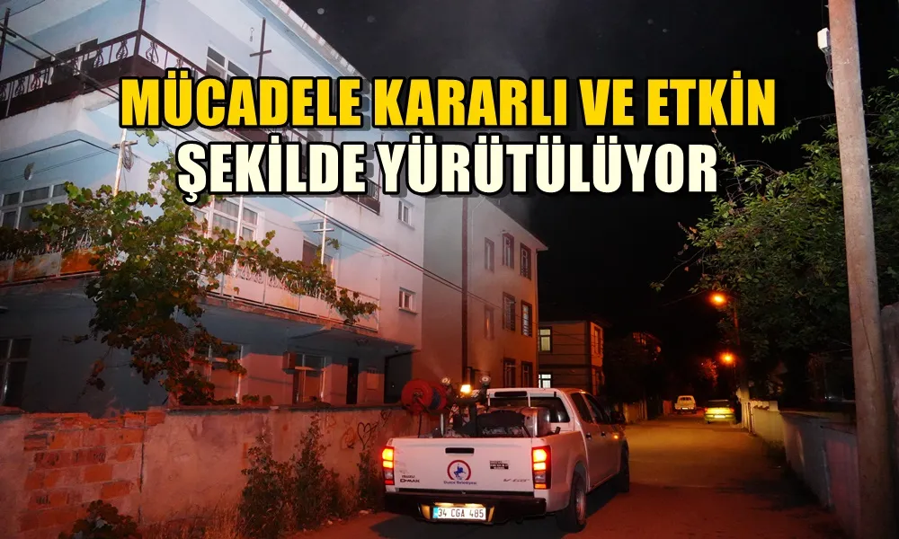 HER GECE CADDE VE SOKAKLAR İLAÇLANIYOR