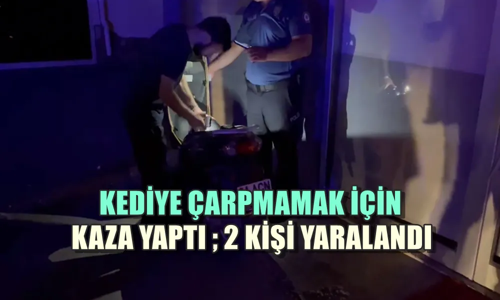 KEDİYE ÇARPMAMAK İÇİN KAZA YAPTI ; 2 KİŞİ YARALANDI 