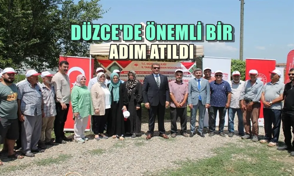 DÜZCE