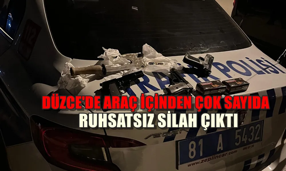 ARAÇ İÇİNDEN ÇOK SAYIDA RUHSATSIZ SİLAH ÇIKTI 