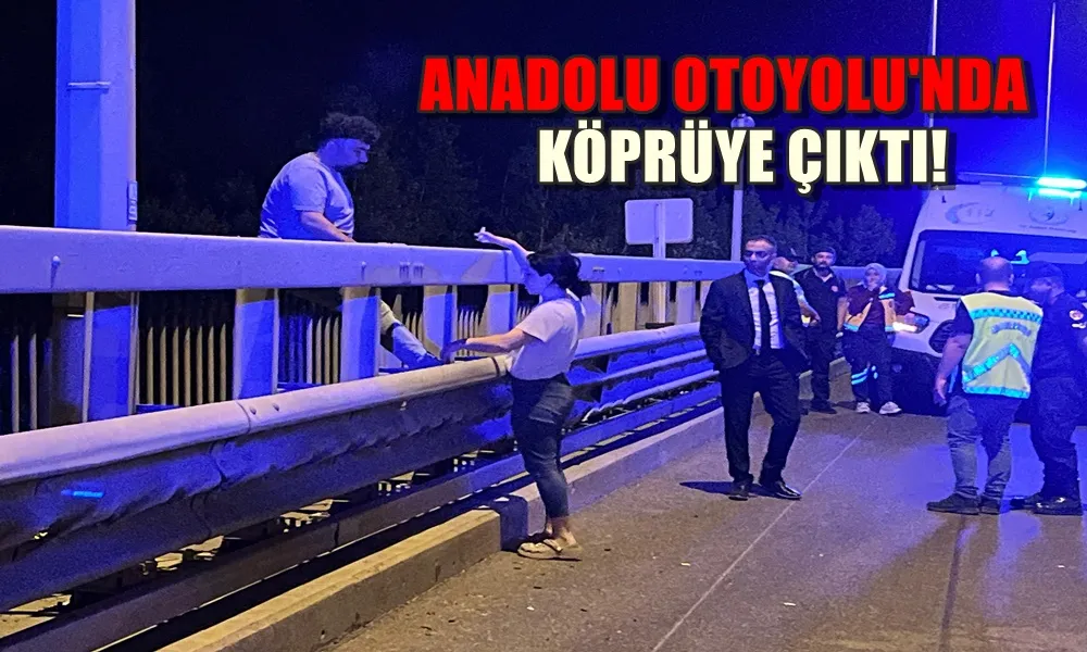 ANADOLU OTOYOLU