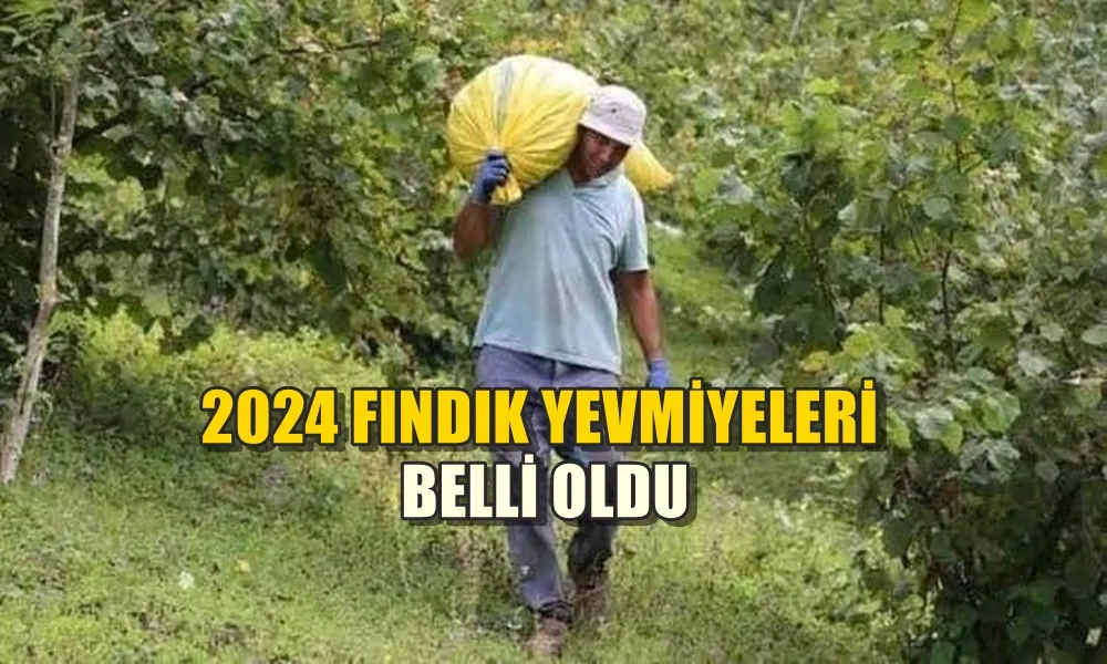 2024 FINDIK YEVMİYELERİ BELLİ OLDU 