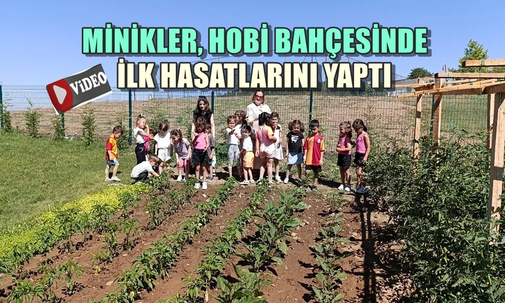 HEM SEBZE YETİŞTİRİYOR HEM ÖĞRENİYORLAR