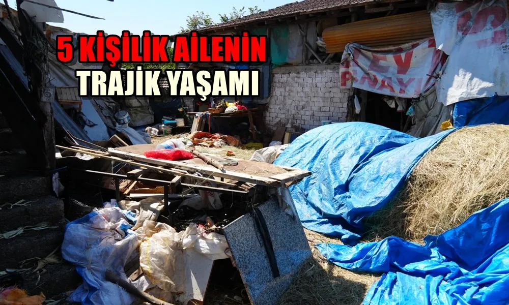 5 KİŞİLİK AİLENİN TRAJİK YAŞAMI !